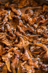 Dried mushrooms