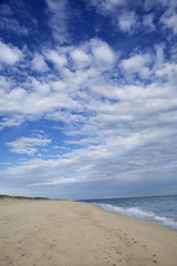 Fototapeta na wymiar Beach on Martha's Vineyard in Massachusetts