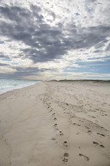 Beach on Martha's Vineyard in Massachusetts