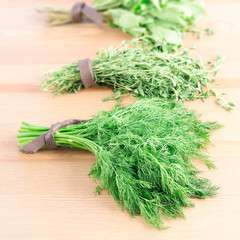 Bunches of fresh dill,  thyme, mint and parsley on a light woode