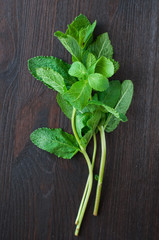 fresh mint leaves on the wooden background © Titarenko