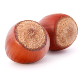 hazelnut or filbert nut isolated on white background cutout