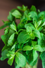 fresh mint leaves on a wooden background