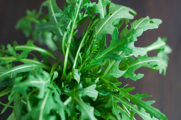 fresh ruccola leaves on the wooden background