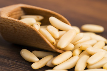 Dry Organic Pine Nuts on Wooden Background