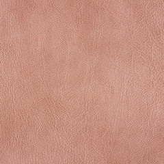 Fototapeta premium leather