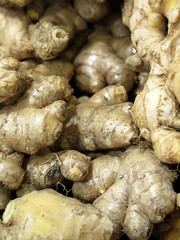 ginger in the market