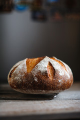 Freshly baked homemade bread on wood background