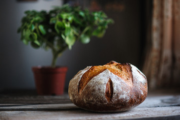 Freshly baked homemade bread on rustic wood background