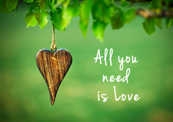 All you need is love - inspirational quote on natural green back - 84281590