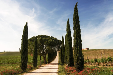 Toscana