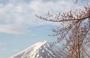 Mount Fuji.