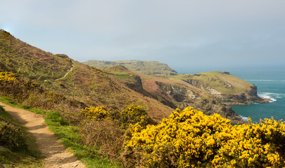 Fototapeta na wymiar South West coast path near Tintagel Cornwall