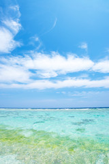 沖縄の海