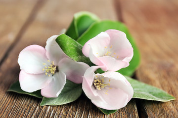 Fototapeta na wymiar Apple blossom with leaves on wooden table