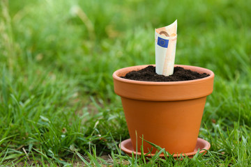 Money growing in flowerpot over grass grass background