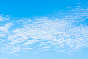 Obraz premium blue sky