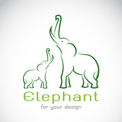 Vector image of an elephant on a white background