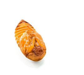 chrysalis of rhinoceros