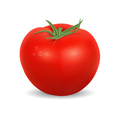 Tomato