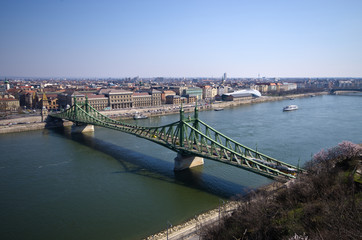Fototapeta na wymiar Liberty Bridge in Budapest, Hungary