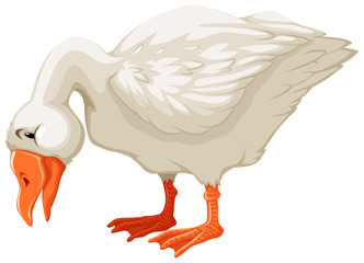 Goose