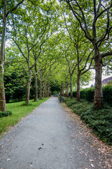 Trail in the park with green trees