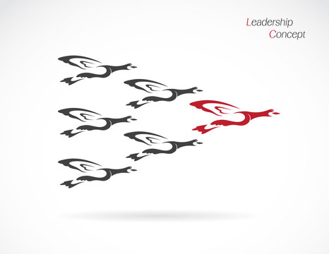 Flock of wild ducks flying, Leadership concept