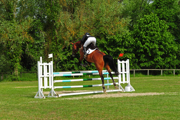 saut d'obstacles
