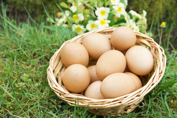 eggs on wood