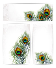 Set of vector peacock feathers with space for text. EPS 10