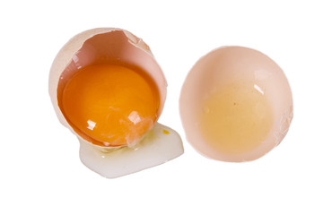 isolated egg yolk