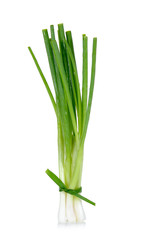 Green onion isolated on the white background