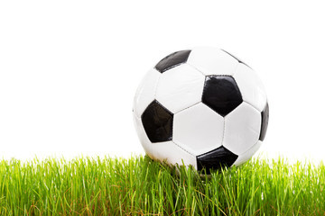 Fototapeta na wymiar White and black football on a grass surface
