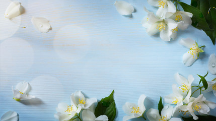 art  spring flowers frame  background