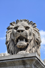 Il Leone del Ponte delle Catene 2
