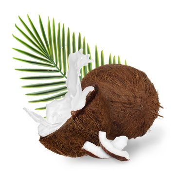 Cracked coconuts on white background