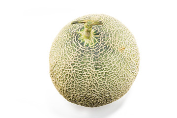 Cantaloupe Melon