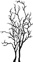 Tree silhouette