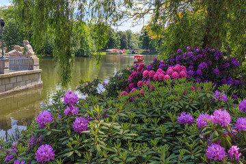 Fototapeta na wymiar Flowers in Royal Lazienki Park, Warsaw, Poland