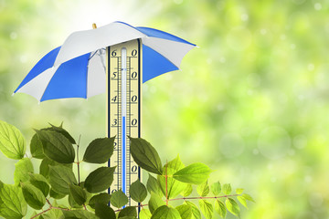 Thermometer 39