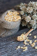 yellow beans halves on wood spoon.