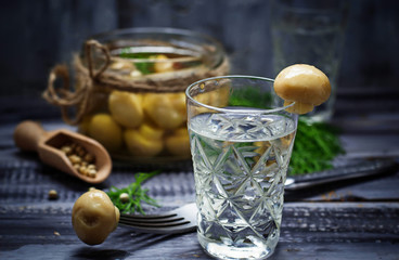 Glass of Russian vodka and pickled mushrooms