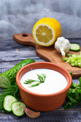 Ingredients for tzatziki sauce – yogurt, cucumber, mint, dill,