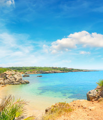 paradise beach on a clear day in Alghero