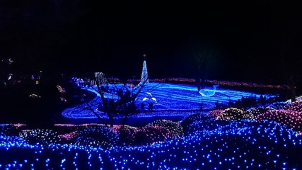 イルミネーション