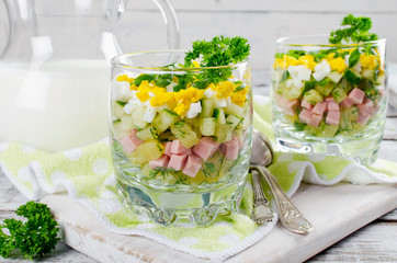 Russian spring and summer cold soup  with kefir