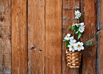 Daffodils and blossoming apple tree branch in a basket on the ba - 84315739