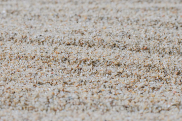 Sea sand texture