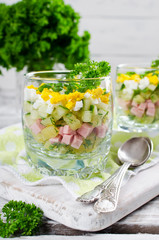 Russian spring and summer cold soup  with kefir